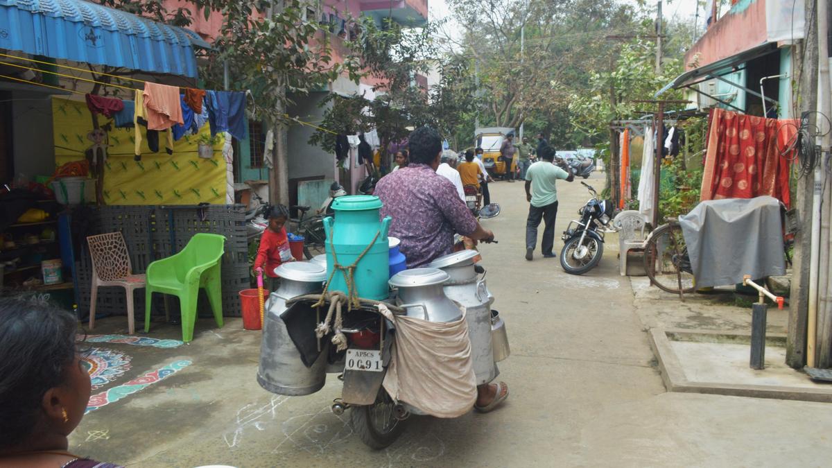 Milk adulteration claims five lives in rajamahendravaram