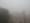 Delhi chokes under severe smog as AQI tops 400