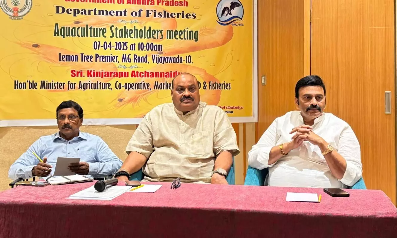AP to form NPCC to tackle tax on aqua produce